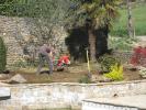 Un gazon pour la piscine